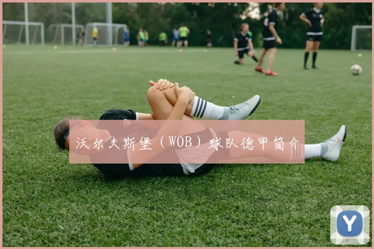 沃尔夫斯堡（WOB）球队德甲简介