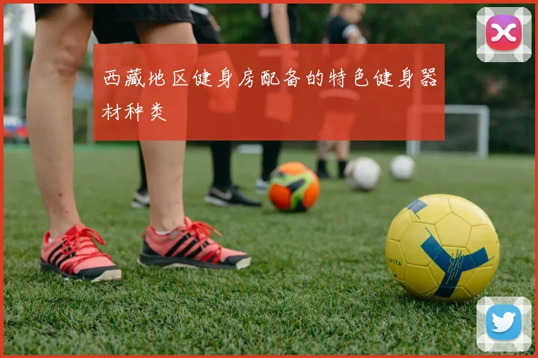 西藏地区健身房配备的特色健身器材种类